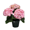5" Hydrangea - Assorted Color