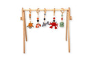 Montessori Baby Gym & Hanging Toys Set | Wooden Play Gym for Babies