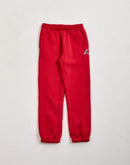 Jordan Essentials Fleece Pants Grade-School