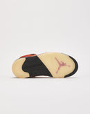 Jordan Air Jordan 5 Retro 'Dunk on Mars'