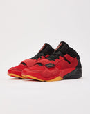 Jordan Zion 2