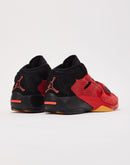 Jordan Zion 2