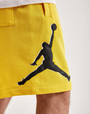 Jordan Essentials Fleece Shorts