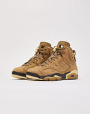 Jordan Air Jordan 6 Retro GORE-TEX 'Brown Kelp'