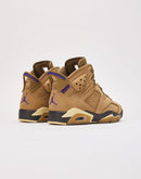 Jordan Air Jordan 6 Retro GORE-TEX 'Brown Kelp'