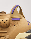 Jordan Air Jordan 6 Retro GORE-TEX 'Brown Kelp'
