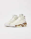 Jordan Jumpman MVP