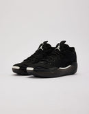 Jordan Air Jordan 39