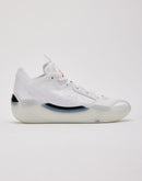 Jordan Air Jordan 39