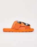Kappa Logo Zirk 1 Slides