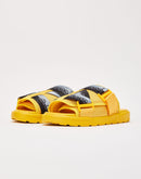 Kappa Logo Zirk 1 Slides