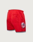 Pro Standard MLB New York Yankees Logo Mesh Shorts