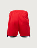Pro Standard MLB New York Yankees Logo Mesh Shorts