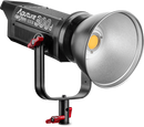 Aputure LS C300D Kit (V-Mount)