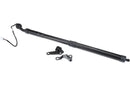 Liftgate Lift Support Left - Lexus