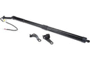 Liftgate Lift Support Right - Lexus