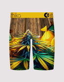 Ethika Out The Bando Boxer Briefs