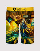 Ethika Out The Bando Boxer Briefs