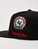 Mitchell & Ness Ohio State Champ City Snapback