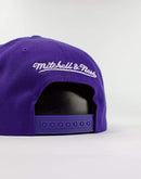 Mitchell & Ness NBA Los Angeles Lakers Vintage Draft Scrip Snapback