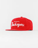 Mitchell & Ness Ncaa Ohio State Buckeyes Vintage Draft Script Snapback
