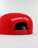 Mitchell & Ness Ncaa Ohio State Buckeyes Vintage Draft Script Snapback