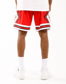 Mitchell & Ness Chicago Bulls Swingman Shorts