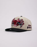 Mitchell & Ness NBA Chicago Bulls Crystal Ball Pro Snapback Hat