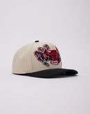 Mitchell & Ness NBA Chicago Bulls Crystal Ball Pro Snapback Hat