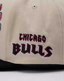 Mitchell & Ness NBA Chicago Bulls Crystal Ball Pro Snapback Hat