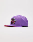 Mitchell & Ness Toronto Raptors Snapback