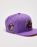 Mitchell & Ness Toronto Raptors Snapback