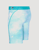 Ethika Aquatix Boxer Briefs