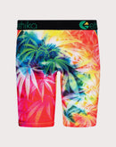 Ethika Hippie Lettuce Boxer Briefs