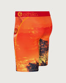 Ethika King Of The Jungle Boxer Briefs