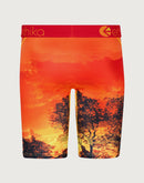 Ethika King Of The Jungle Boxer Briefs
