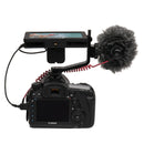 SmallHD FOCUS 5” Touchscreen with Panasonic BLF19 Bundle
