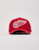Mitchell & Ness NHL Team Grounds 2.0 Detroit Red Wings Snapback Hat