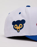 Mitchell & Ness MLB Evergreen Chicago Cubs Snapback Hat