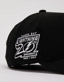 Mitchell & Ness NHL Panda Pro Tampa Bay Lightning Snapback Hat