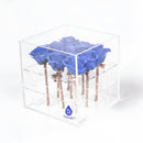 9 Preserved Roses in Acrylic Box: 100% Real Natural Roses That Last Over 1 Year
