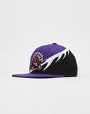 Mitchell & Ness NBA Wave Toronto Raptors Snapback Hat