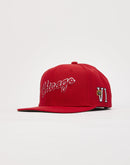 Mitchell & Ness Chicago Bulls Championship Snapback Hat