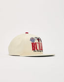 Mitchell & Ness Chicago Bulls Retro Reframe Snapback Hat