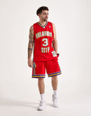 Mitchell & Ness Swingman Chris Paul New Orleans Hornets Alternate Jersey