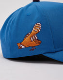 Mitchell & Ness MLB Philadelphia Phillies Anniversary Pro Pinch Snapback Hat