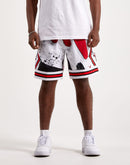 Mitchell & Ness Chicago Bulls Hyper Hoops Swingman Shorts