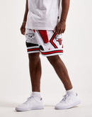 Mitchell & Ness Chicago Bulls Hyper Hoops Swingman Shorts