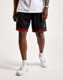 Mitchell & Ness Swingman Shorts Philadelphia 76ers 2000-01