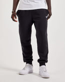 The North Face Evolution Half Dome Fleece Joggers